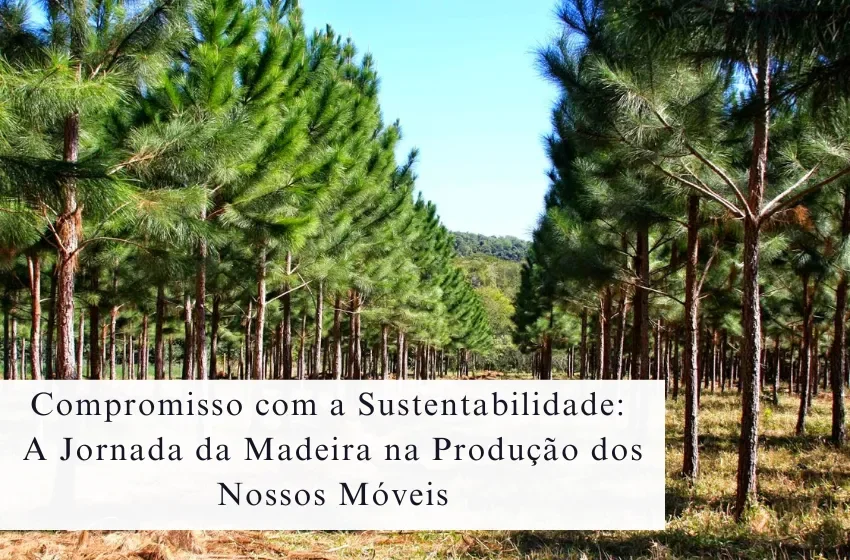 Compromisso com a Sustentabilidade: A Jornada da Madeira na Produção dos Nossos Móveis